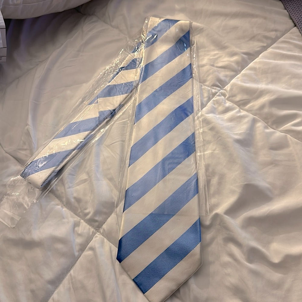 CLASSIC BLUE AND WHITE COLLEGE STRIPED MEN'S NECKTIE